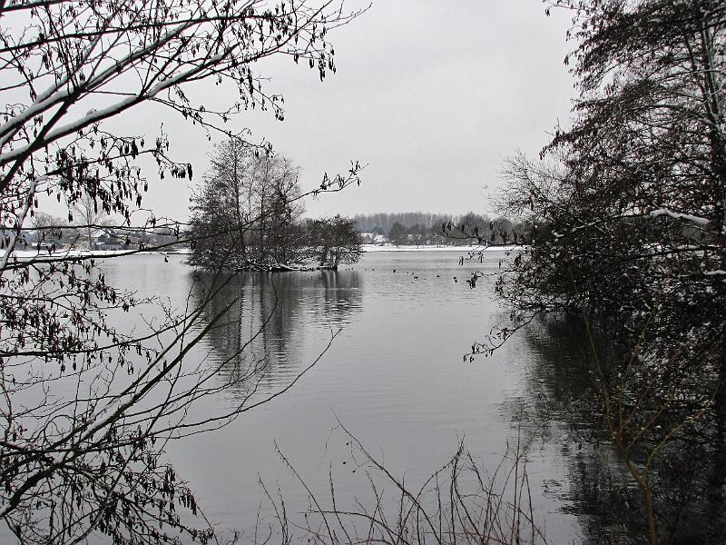 Wandeling De Paalse Plas 24-2-2013 (28).JPG